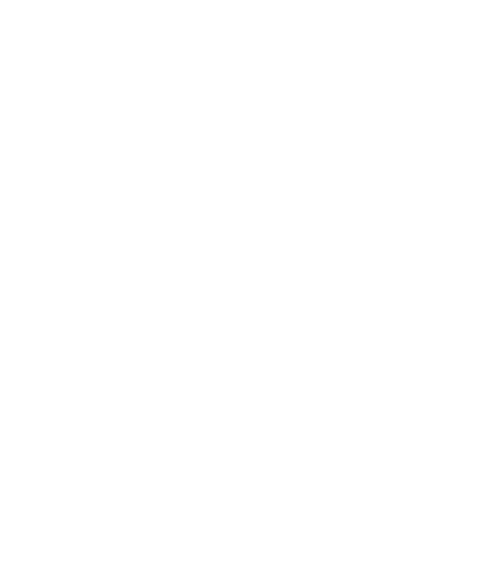Walero Logo