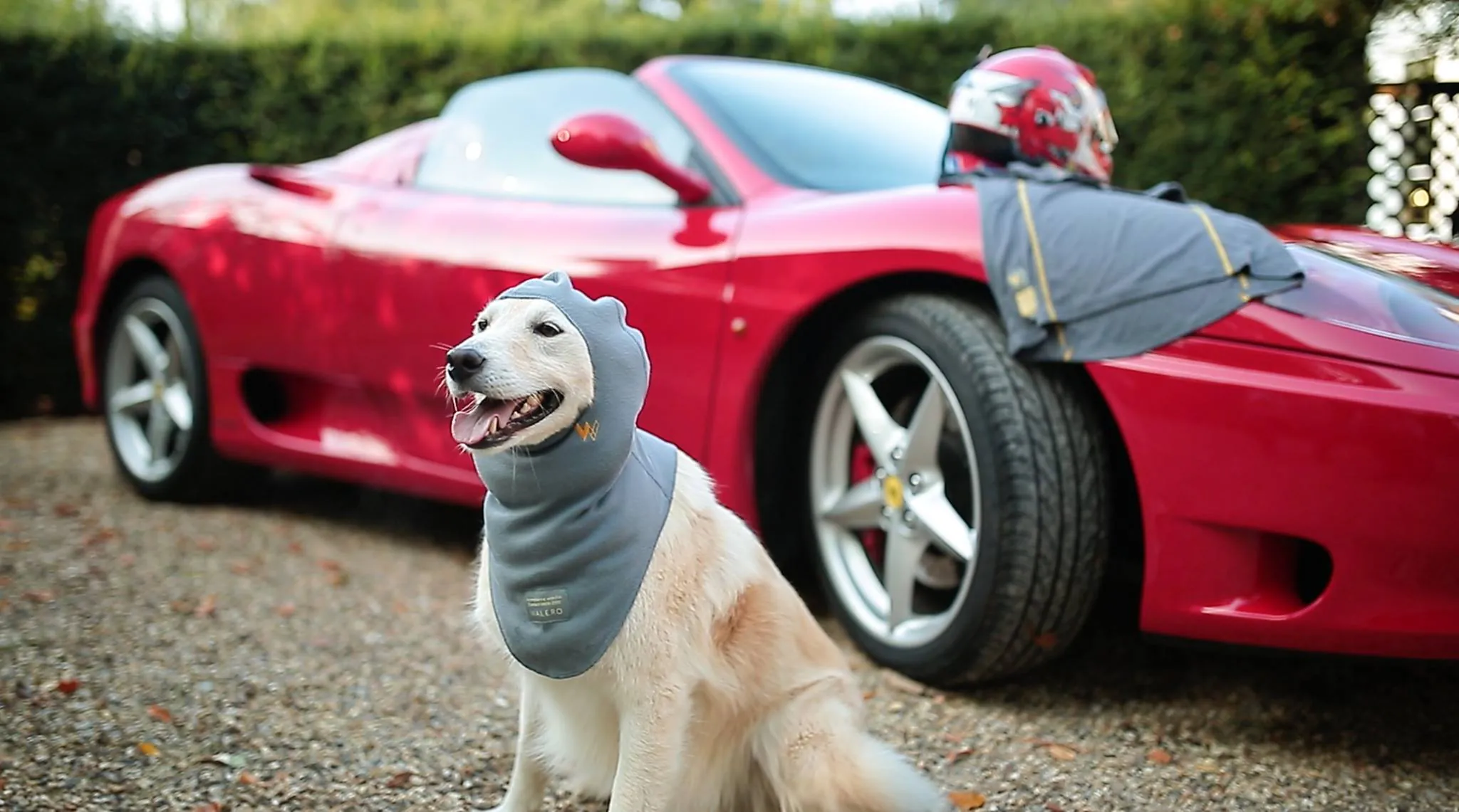 Furry athlete in Walero gear